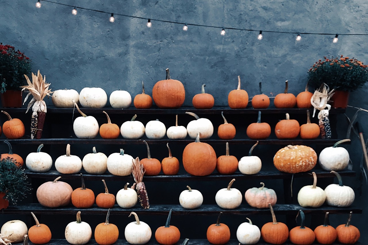 A wall of pumpkins of different sizes and colors at a wedding.