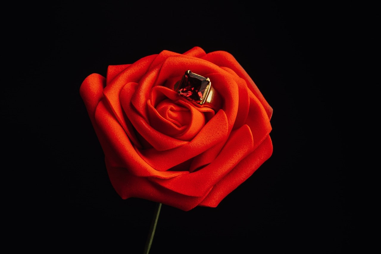 a red rose with a ring nestled inside