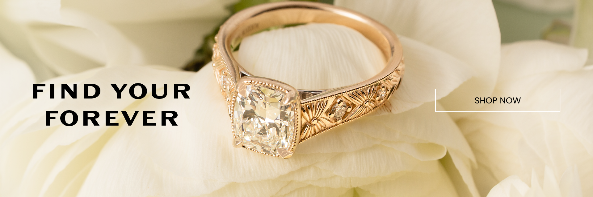 Aucoin Hart Engagement