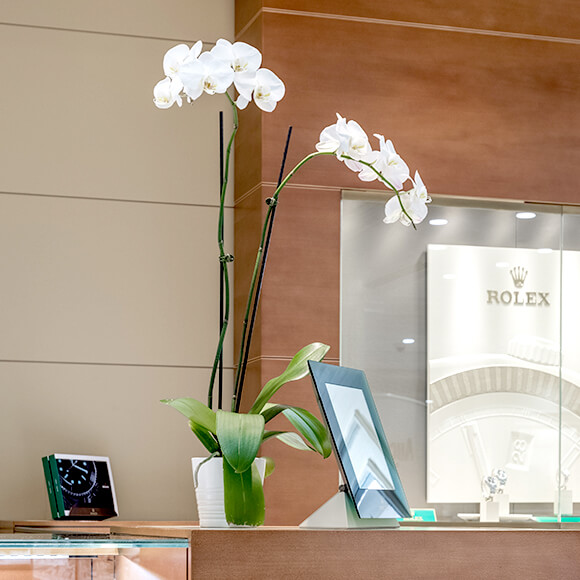 Aucoin Hart Rolex Showroom in Metairie Louisiana Aucoin Hart Rolex Showroom in Metairie Louisiana